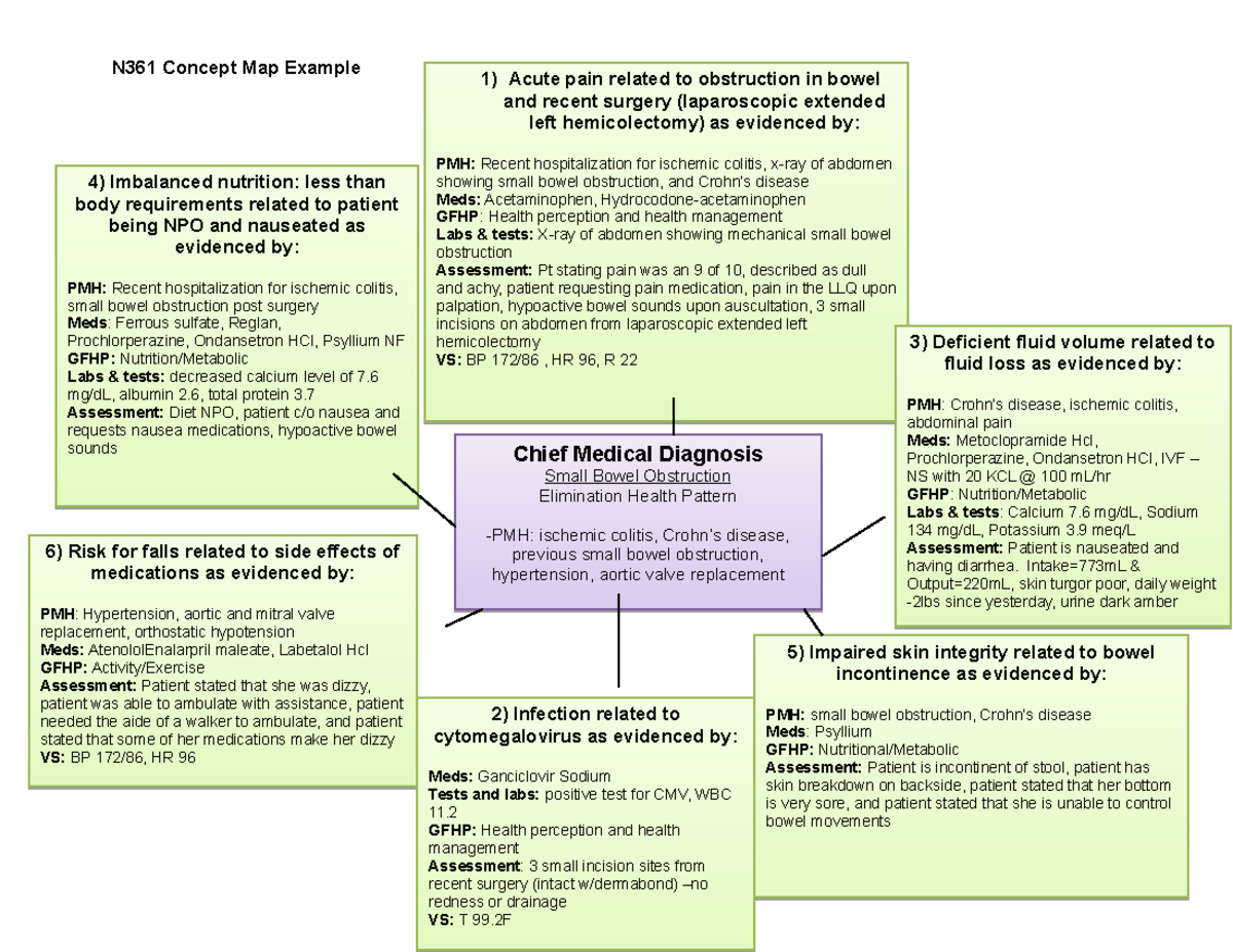 Concept Map Example Identify And Develop Priority Nursing 42 OFF