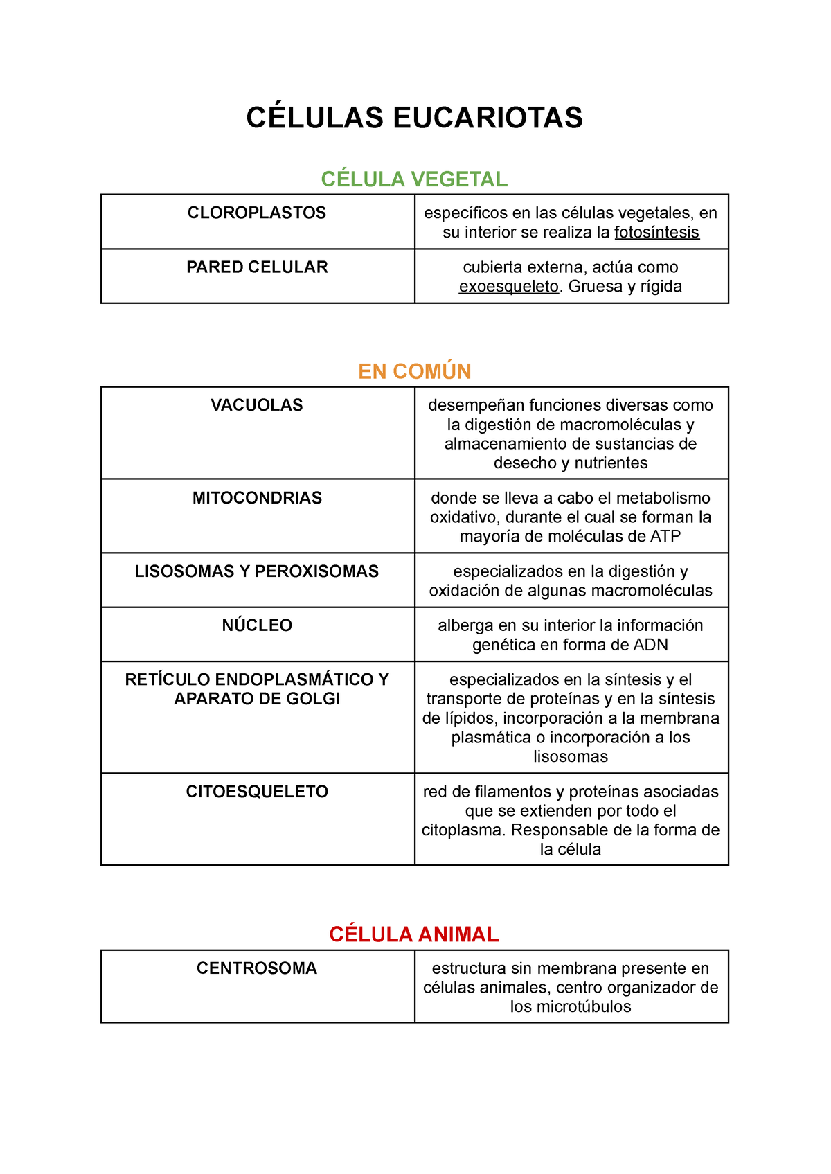 Celulas Eucariotas Tabla Diferenciando Células Animales Y Vegetales 