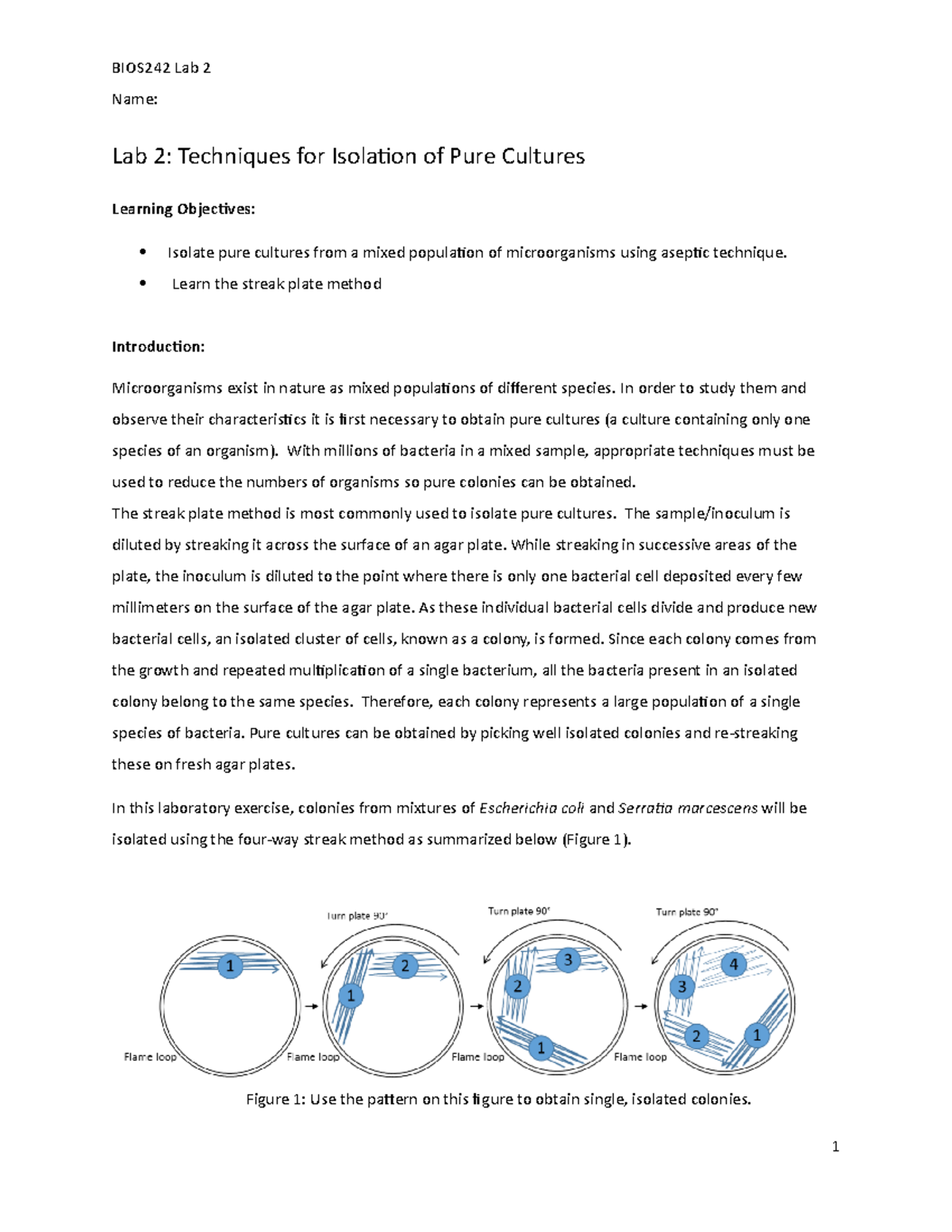 BIOS242 Week 1 Lab 2 Techniques for Isolation of Pure Cultures Name