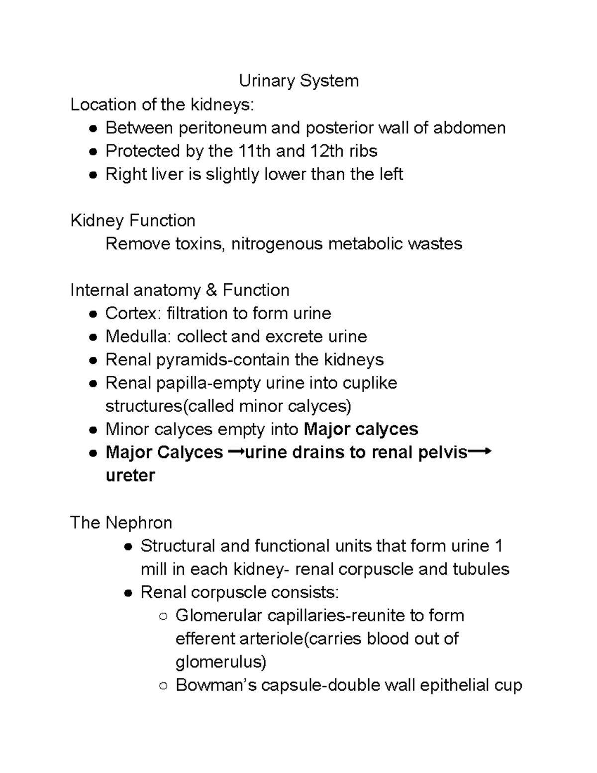 Urinary System Study Guide Part 1 - Urinary System Location Of The ...