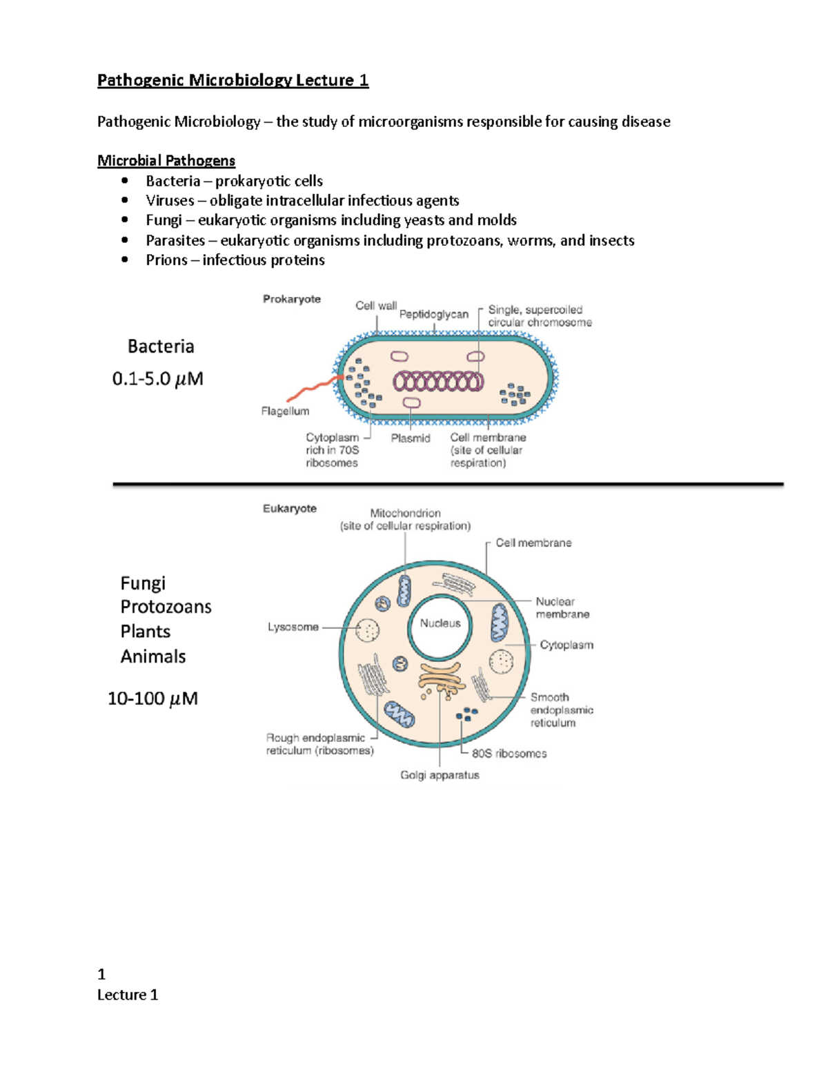 Patho Micro Lecture 1 - Pathogenic Microbiology Lecture 1 Pathogenic ...