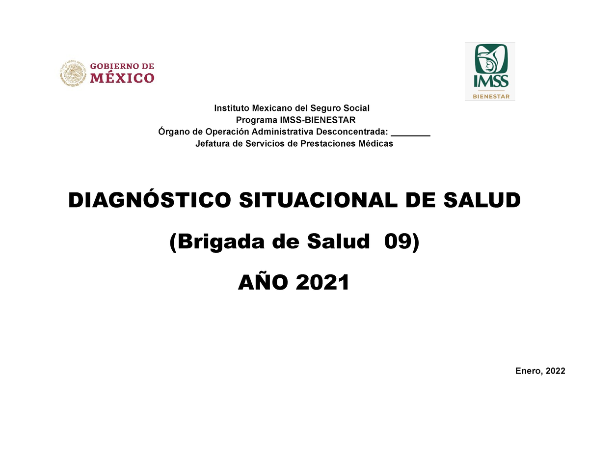 Formato Diagnóstico Situacional BS #09 2020 CAIS - Instituto Mexicano ...