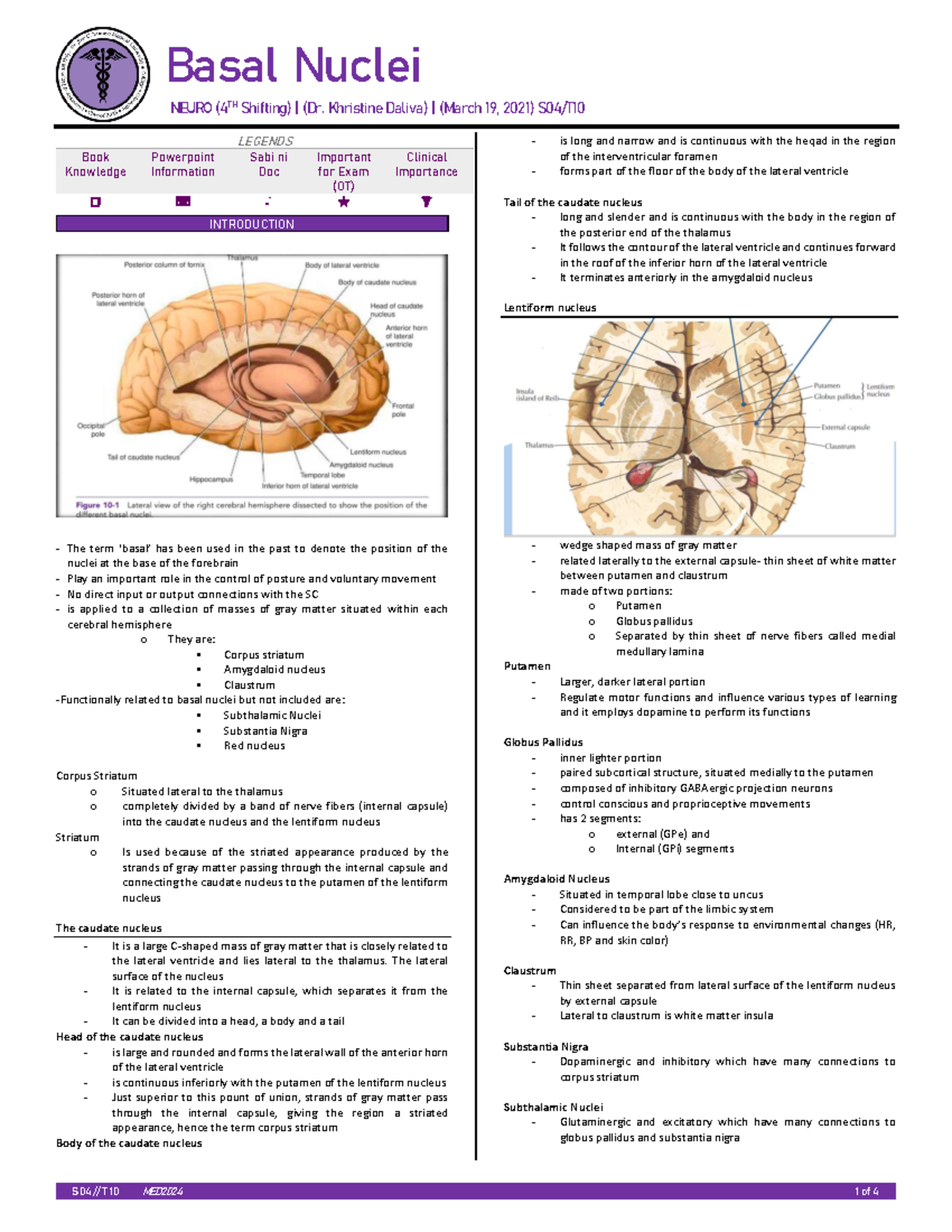 NA: Basal Nuclei - S 04 // T 10 MED2024 1 of 4 LEGENDS Book Knowledge ...