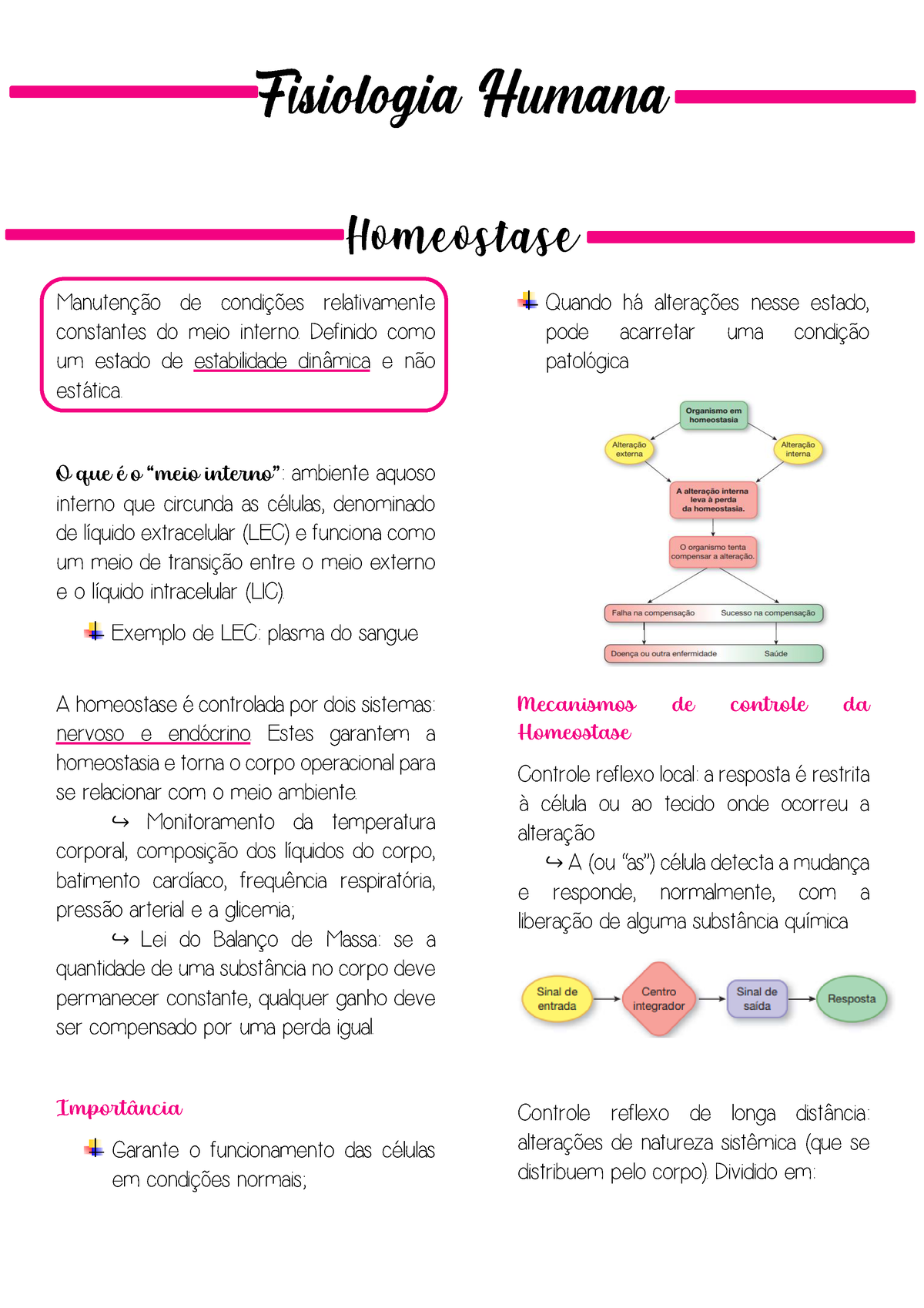 Homeostase Homeostase Manuten O De Condi Es Relativamente Constantes Do Meio Interno