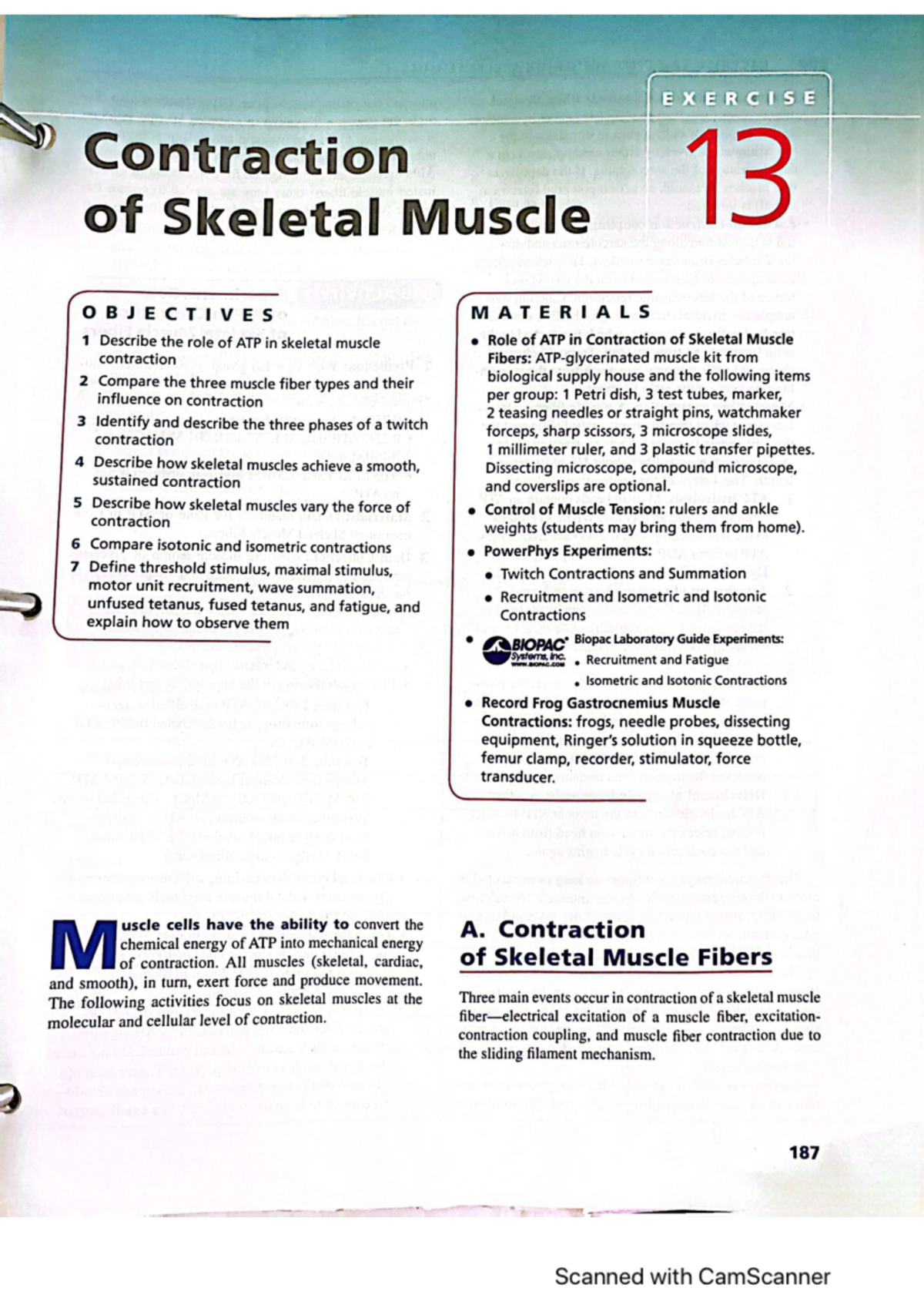 Contraction of skeletal muscle plus revi - BIOL 141 - Studocu