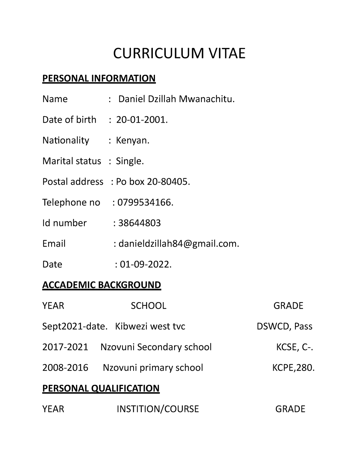 dzillah-cv-diploma-in-social-worker-mostly-deal-with-social-justice