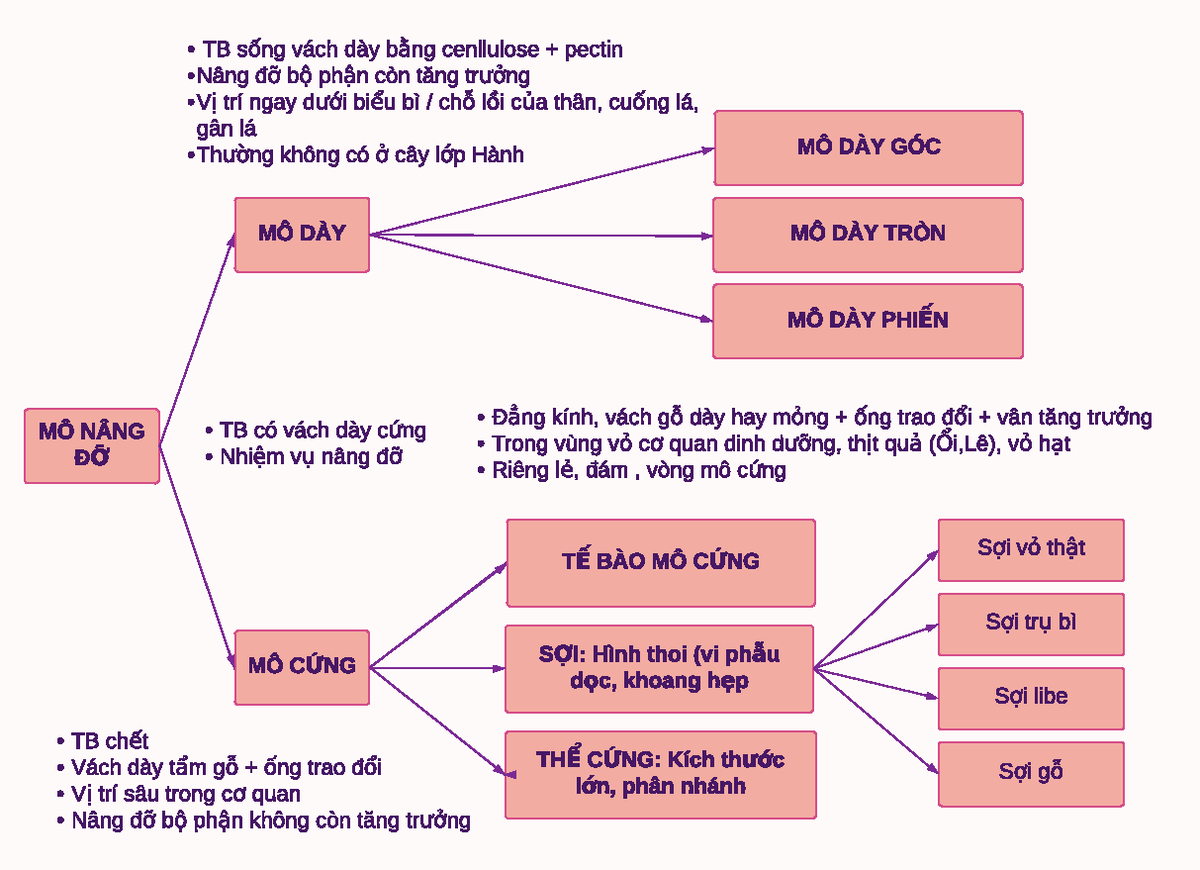 MÔ NÂNG ĐỠ - hay - TB ch?t Vách dày t?m g? + ?ng trao ??i V?trí sâu ...