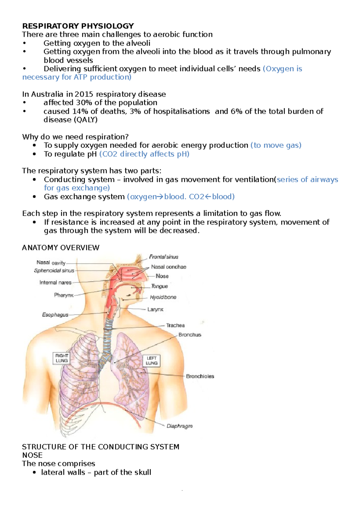 Final Notes- Respiratory System - RESPIRATORY PHYSIOLOGY There are ...