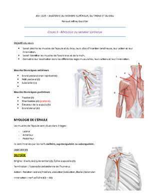 [Solved] Pourraistu me crer un quiz qui porte sur la myologie et ...