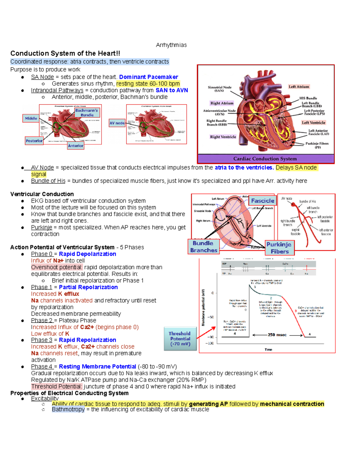 Arrhythmias - Lecture notes 2 - Arrhythmias Conduction System of the ...