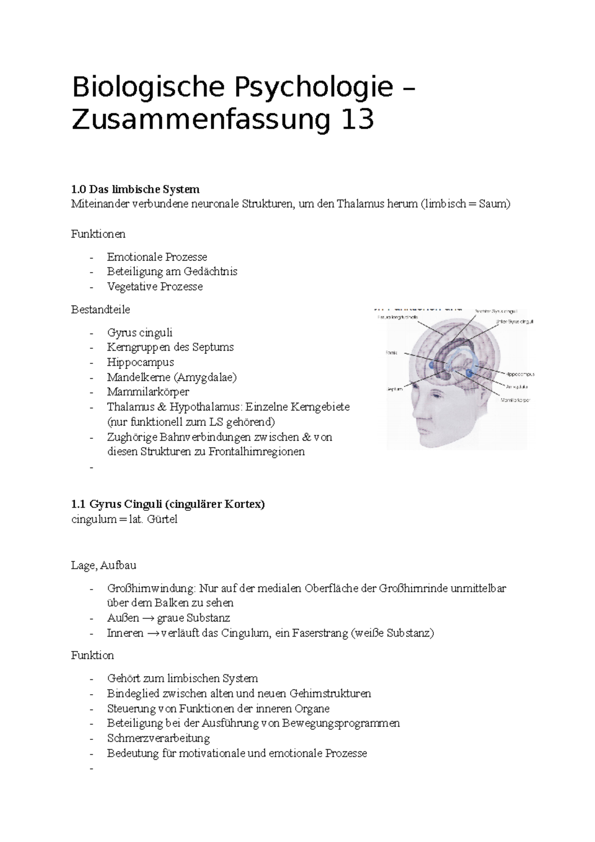 13. Vorlesung 13 Zusammenfassung Biologische Psychologie - Biologische ...