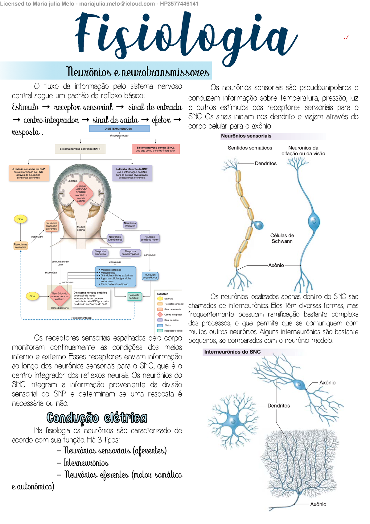 Fisiologia-+Neur%C3%B4nios+e+neurotransmissores - ####### Os neurônios ...