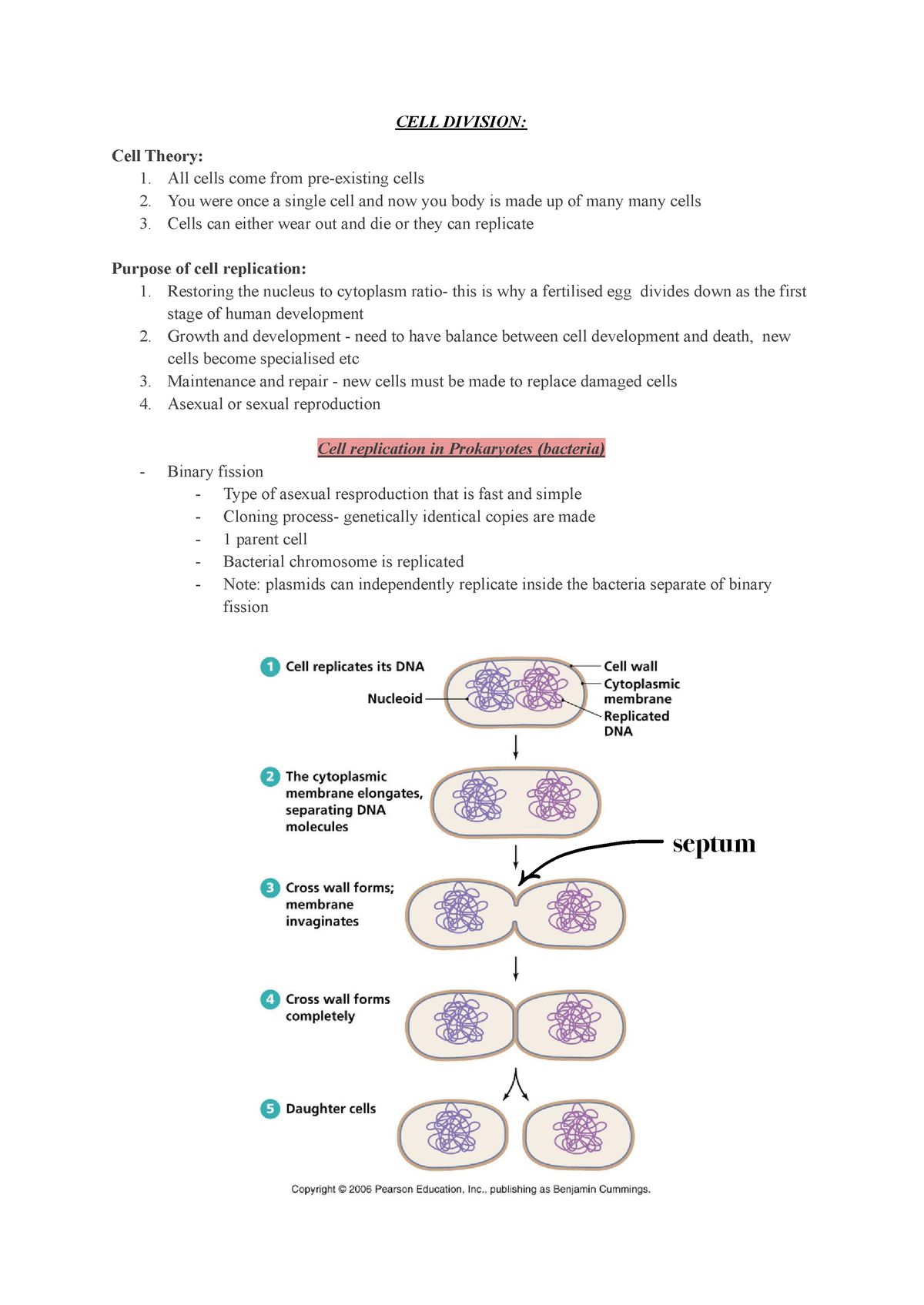 Cell replication - CELL DIVISION: Cell Theory: 1. All cells come from ...