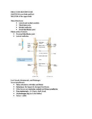 Anatomy 1-6 - Hlsc 120 - Studocu