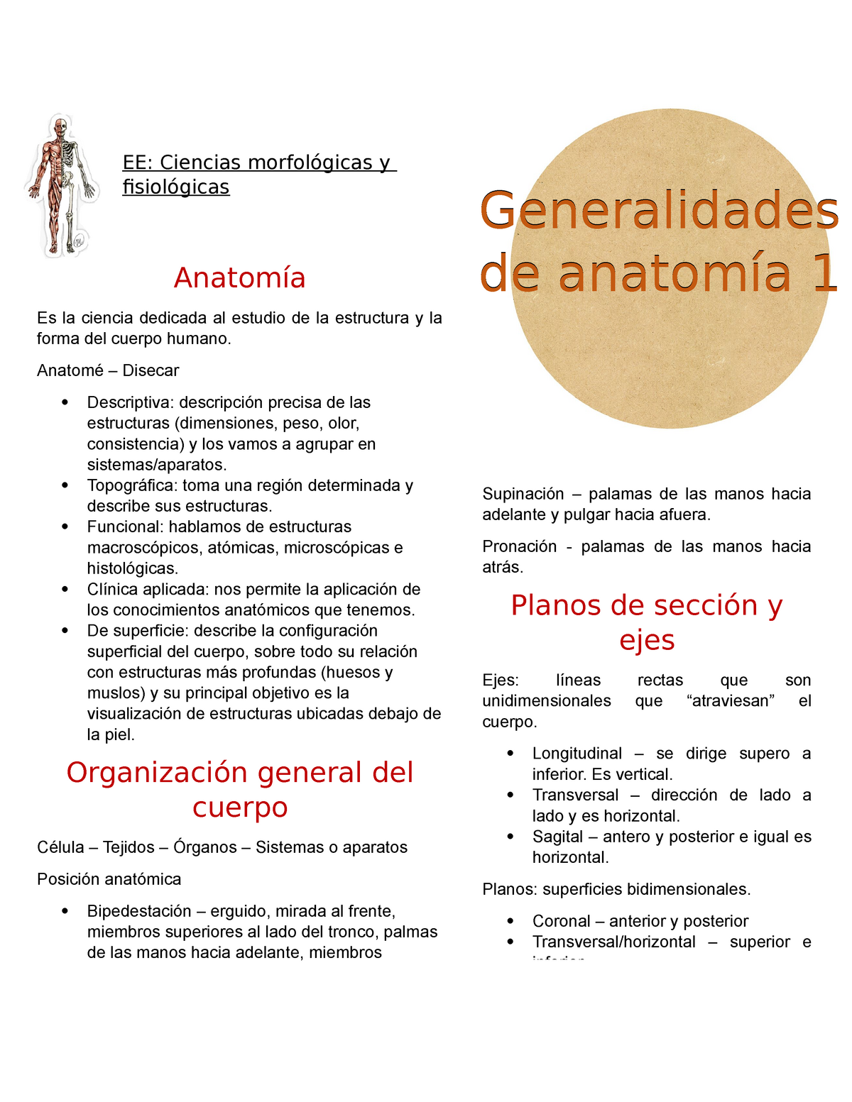 Generalidades De Anatomía - EE: Ciencias Morfológicas Y Fisiológicas ...