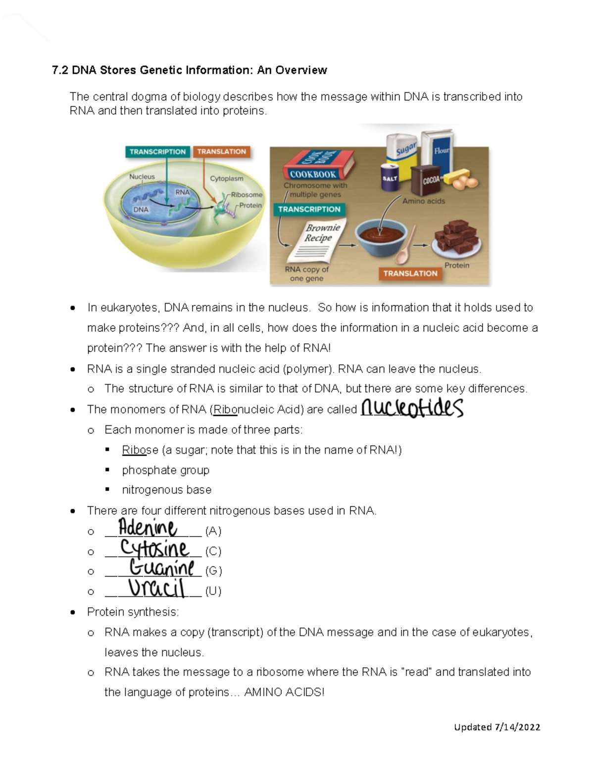 DNA sctructure and gene function Updated 7/14/ 7 DNA Stores