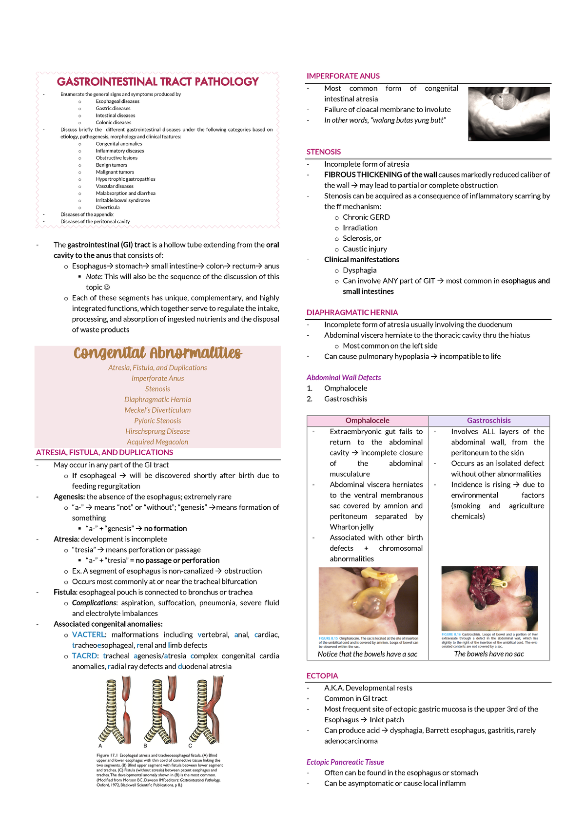 Gastrointestinal Tract and diseases - Far Eastern University – Nicanor ...