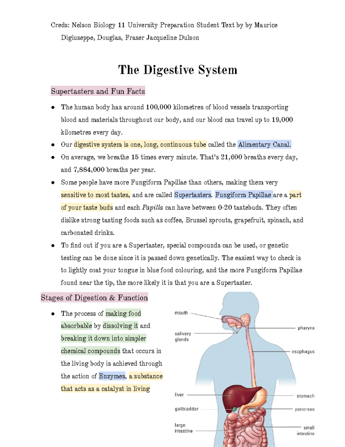 The Digestive System - Creds: Nelson Biology 11 University Preparation ...