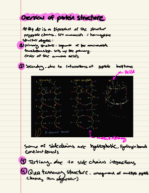 [Solved] How does the rho factor terminate transcription - Trender I ...