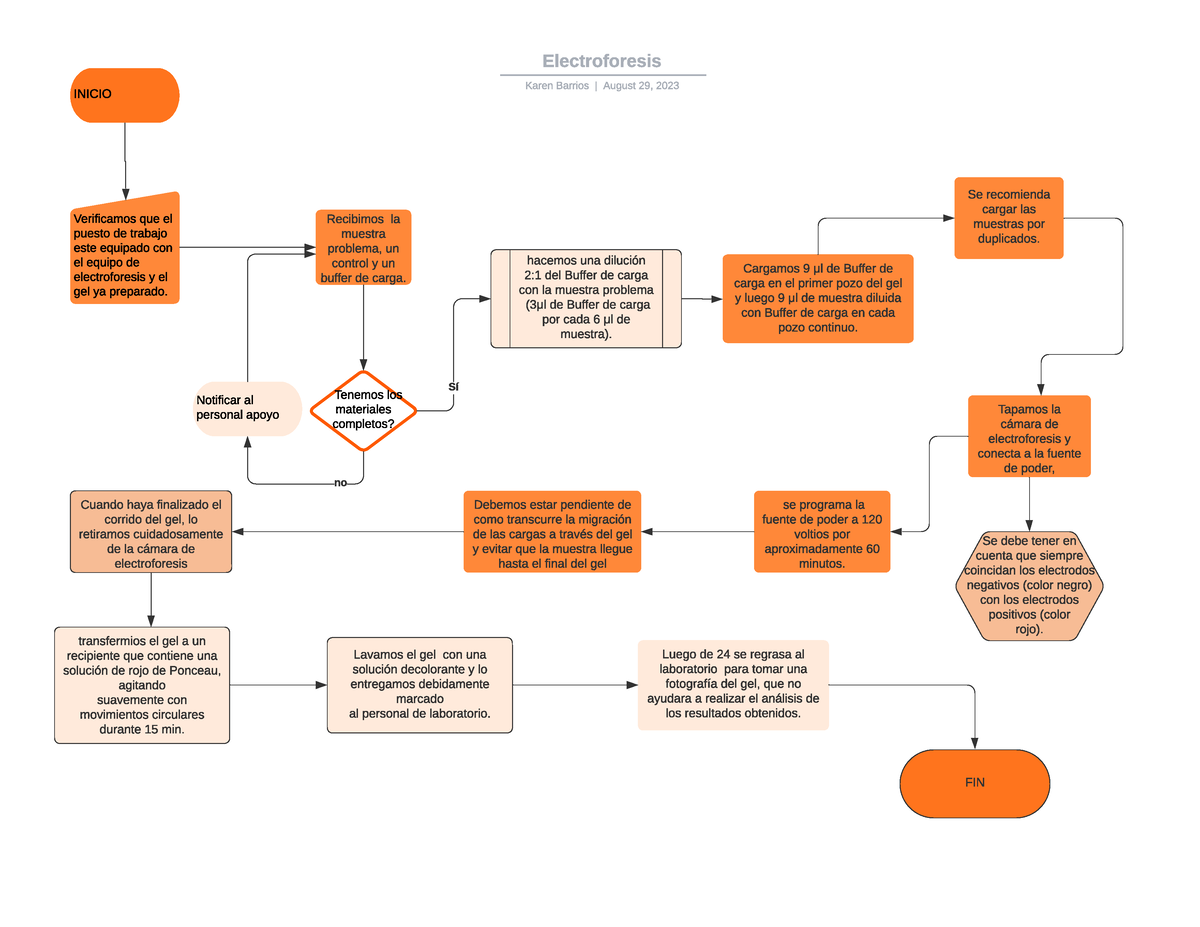 Diagrama De Flujo Lab Electroforesis - INICIO Verificamos Que El Puesto ...