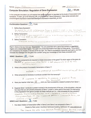 Computer Simulation Regulation Of Gene Expression Studocu