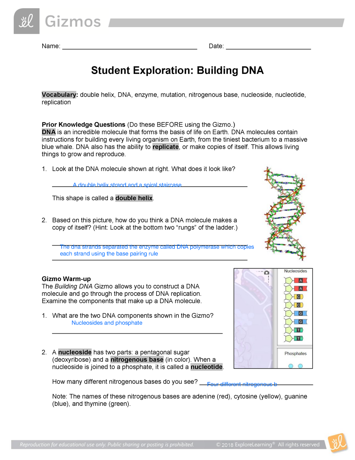 building-dna-gizmo-2018-name-date-studocu