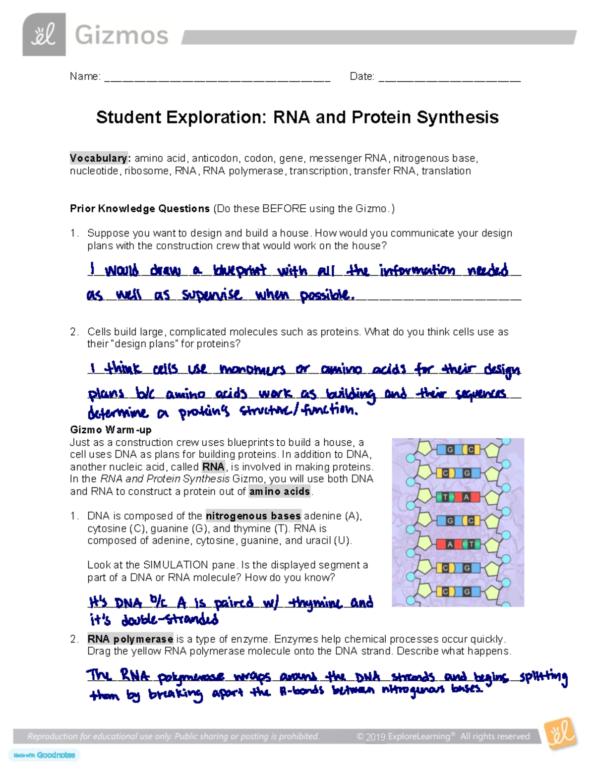 Unlocking the Secrets of Life – A Gizmos Exploration of RNA and Protein Synthesis