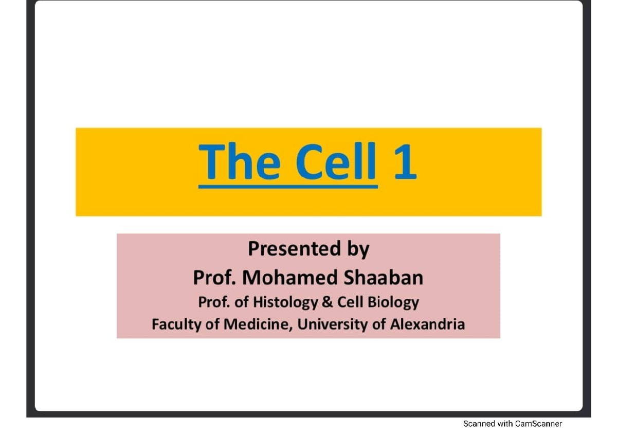 Histology (lecture 1) - Histology And Cytology - Studocu