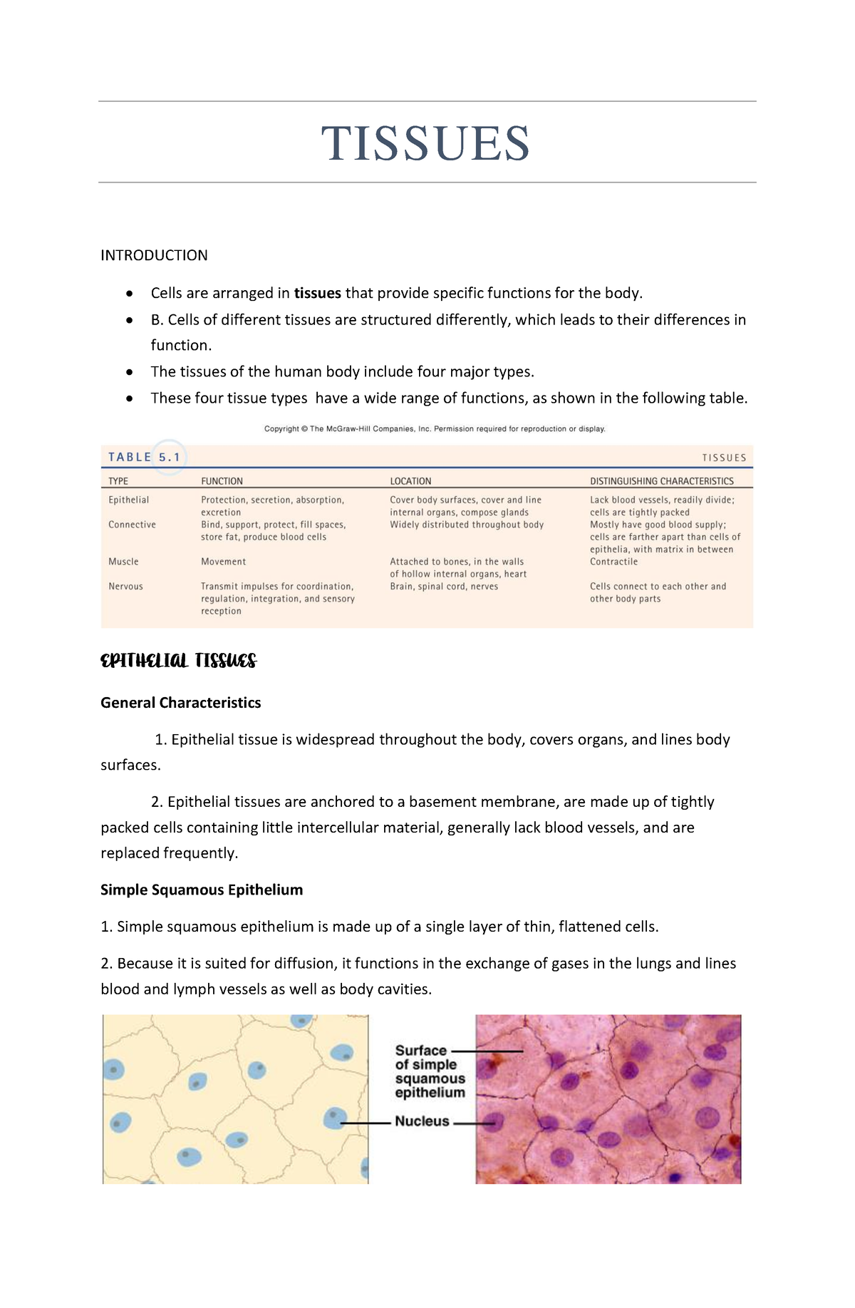 Anatomy And Physiology: Tissues - TISSUES INTRODUCTION Cells Are ...