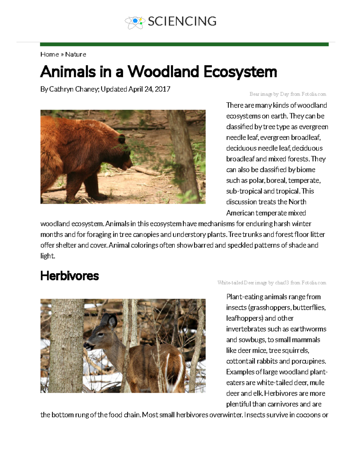 animals-in-a-woodland-ecosystem-sciencing-home-nature-animals-in-a