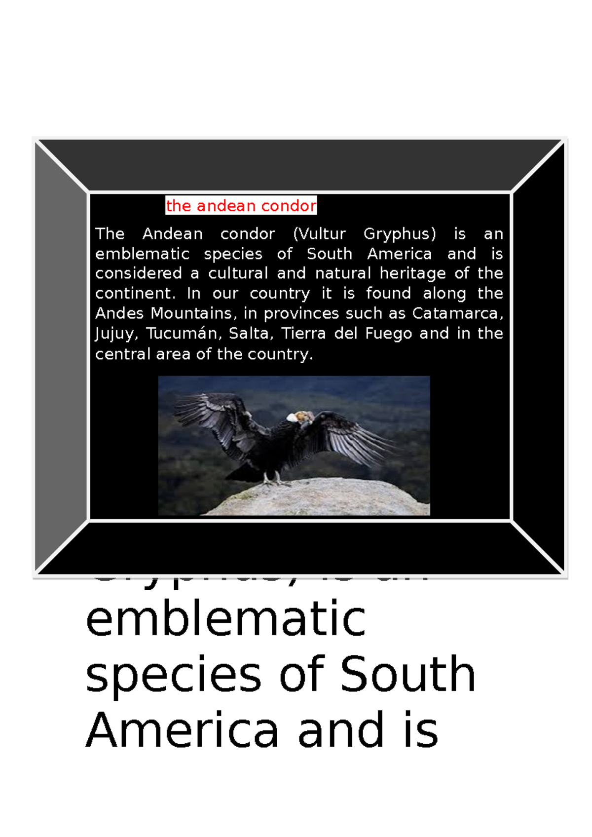 The Andean condor - 10de10 - The Andean condor (Vultur Gryphus) is an ...
