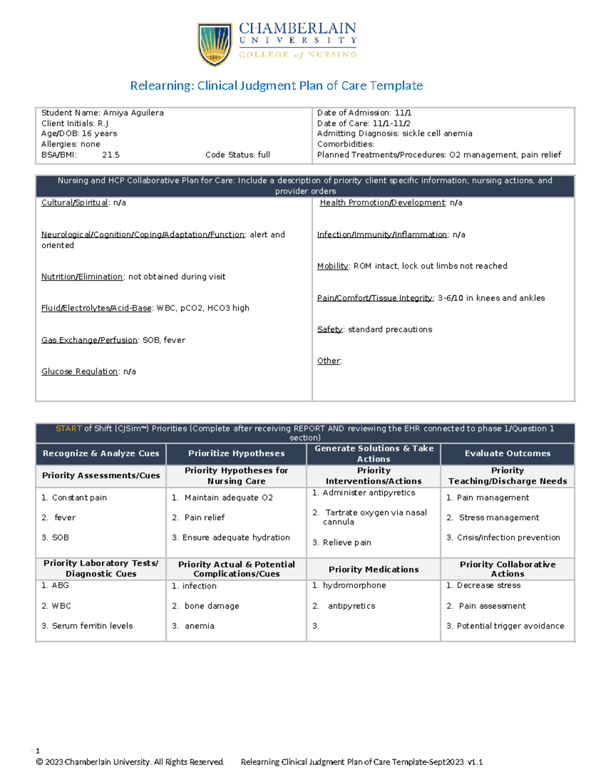 Cje RJ relearning Relearning Clinical Judgment Plan of Care Template