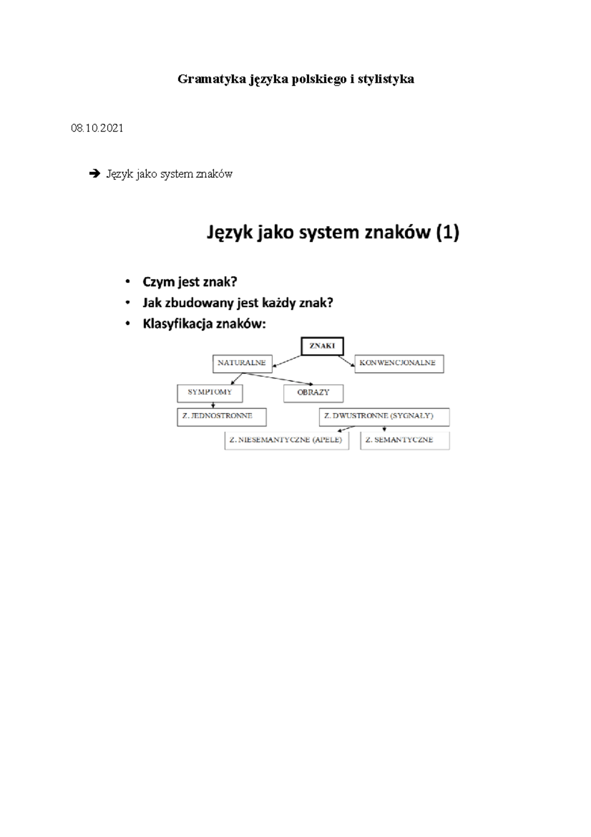 Gramatyka języka polskiego i stylistyka - Język jako system znaków do