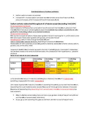Human Physiology Exam 2 Notes - Week 5 - Chapter 7: The Nervous System ...