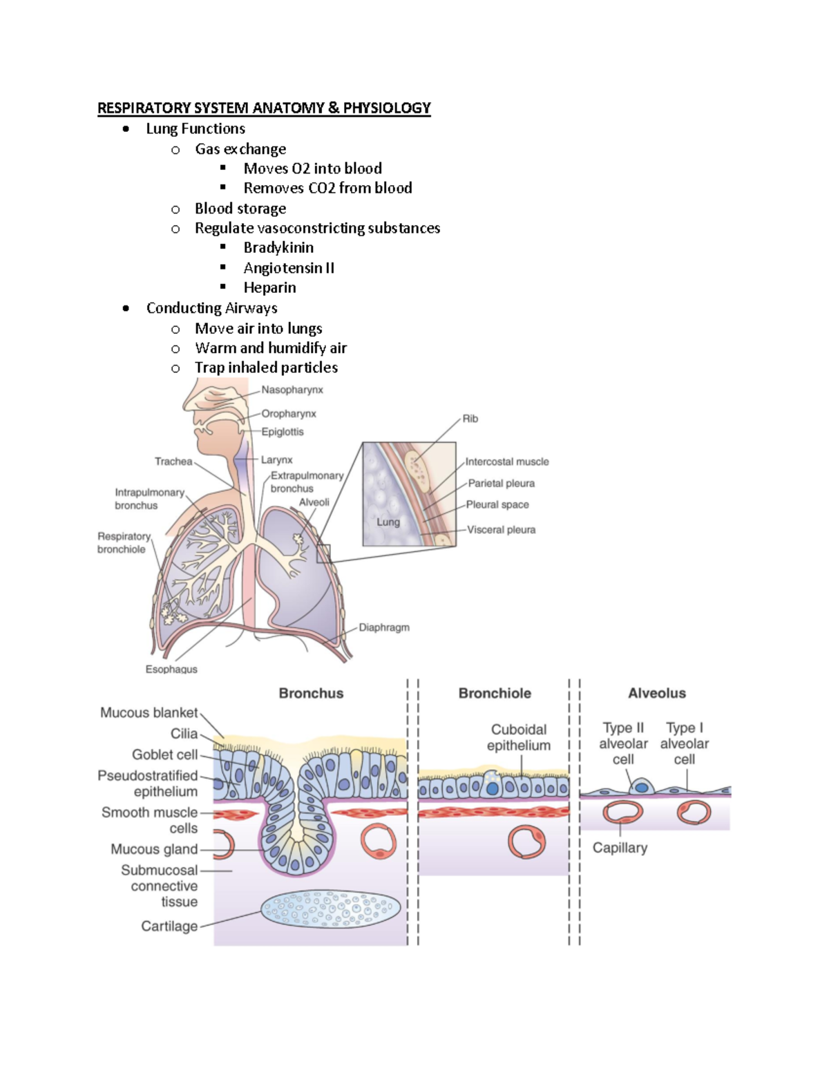 Exam 4 - Patho Review - Notes Combined To Study For Exam Four That ...