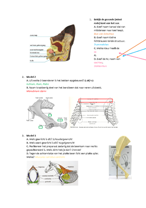 Anatomie - OSTEOLOGIE Functies van het skelet Steun en vormgeving aan ...