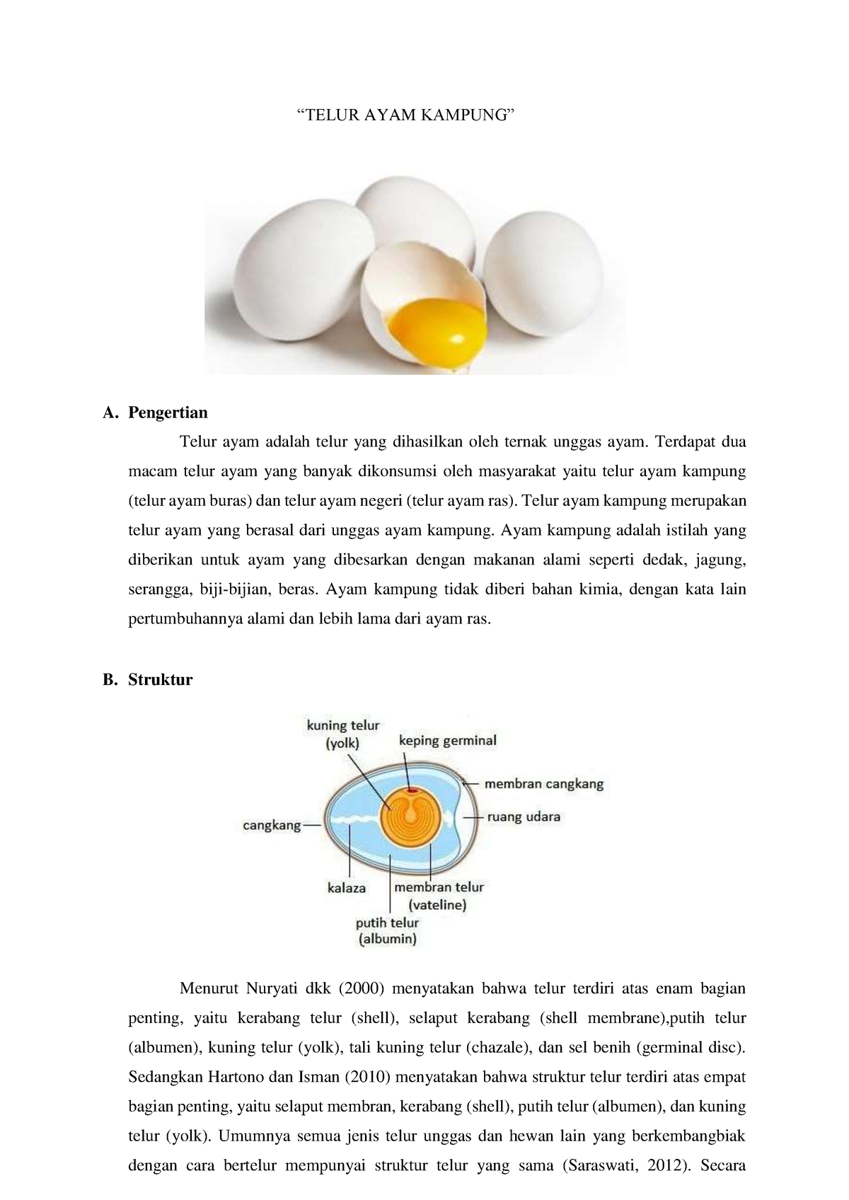 Ibm Telur Ayam Kampung Telur Ayam Kampung A Pengertian Telur Ayam Adalah Telur Yang