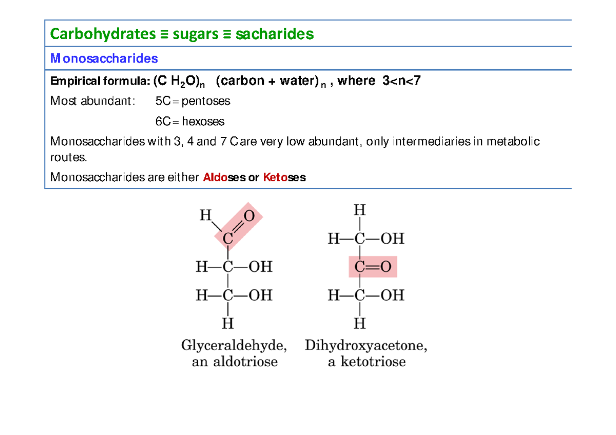 Biochem Sugars Biology URV Studocu