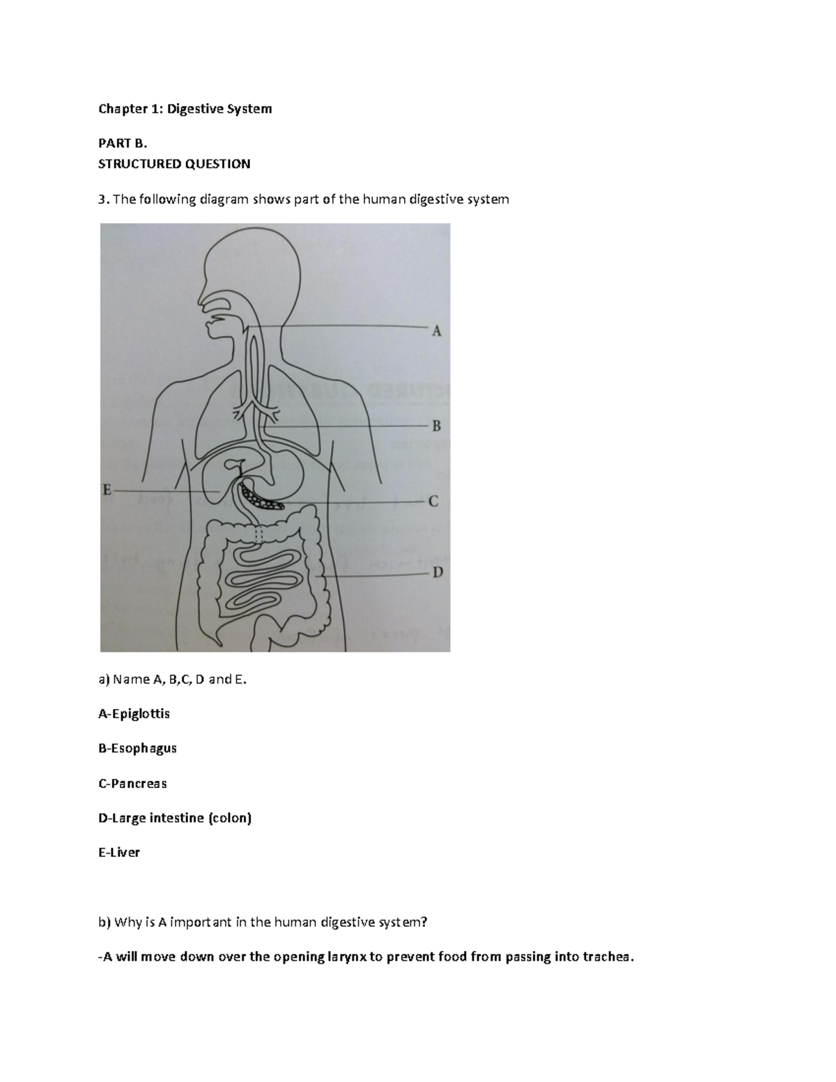 Chapter 1 Part B Q3 - Digestive System - Chapter 1: Digestive System PART B. STRUCTURED QUESTION ...