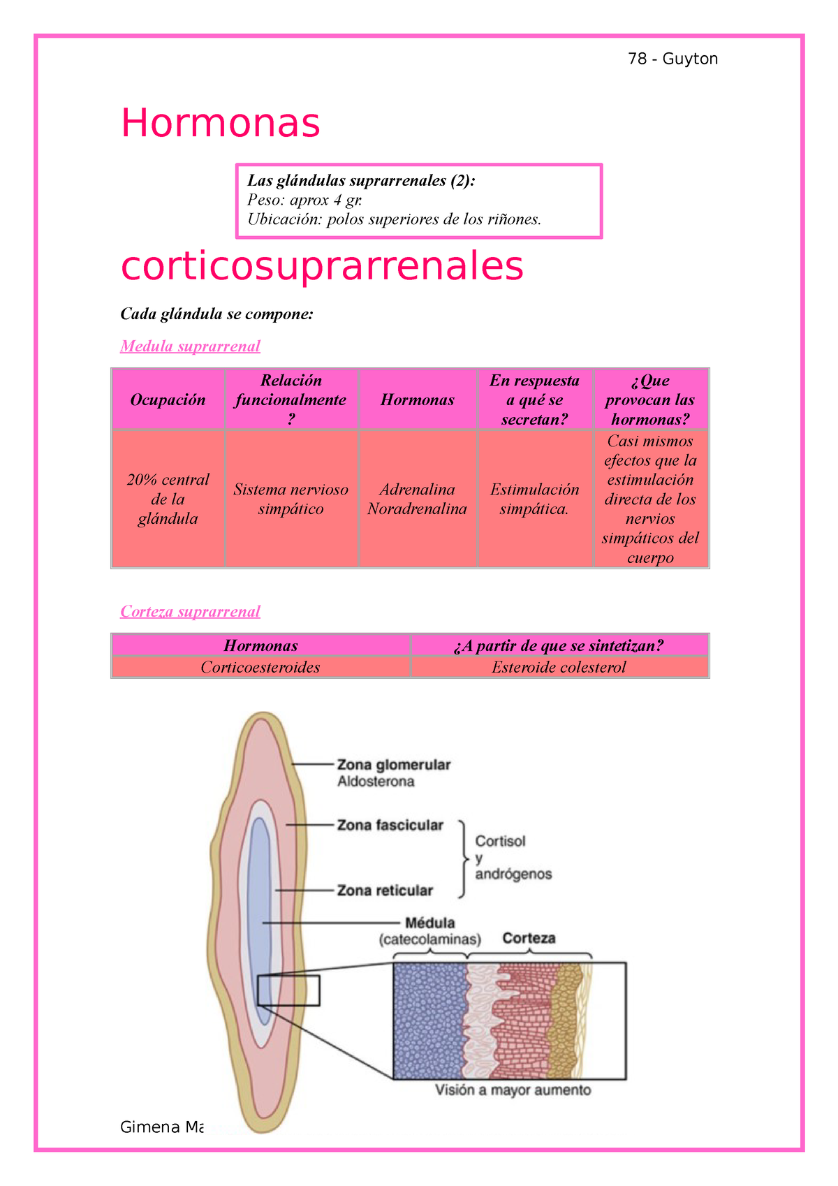 capas de glándulas suprarrenales y hormonas