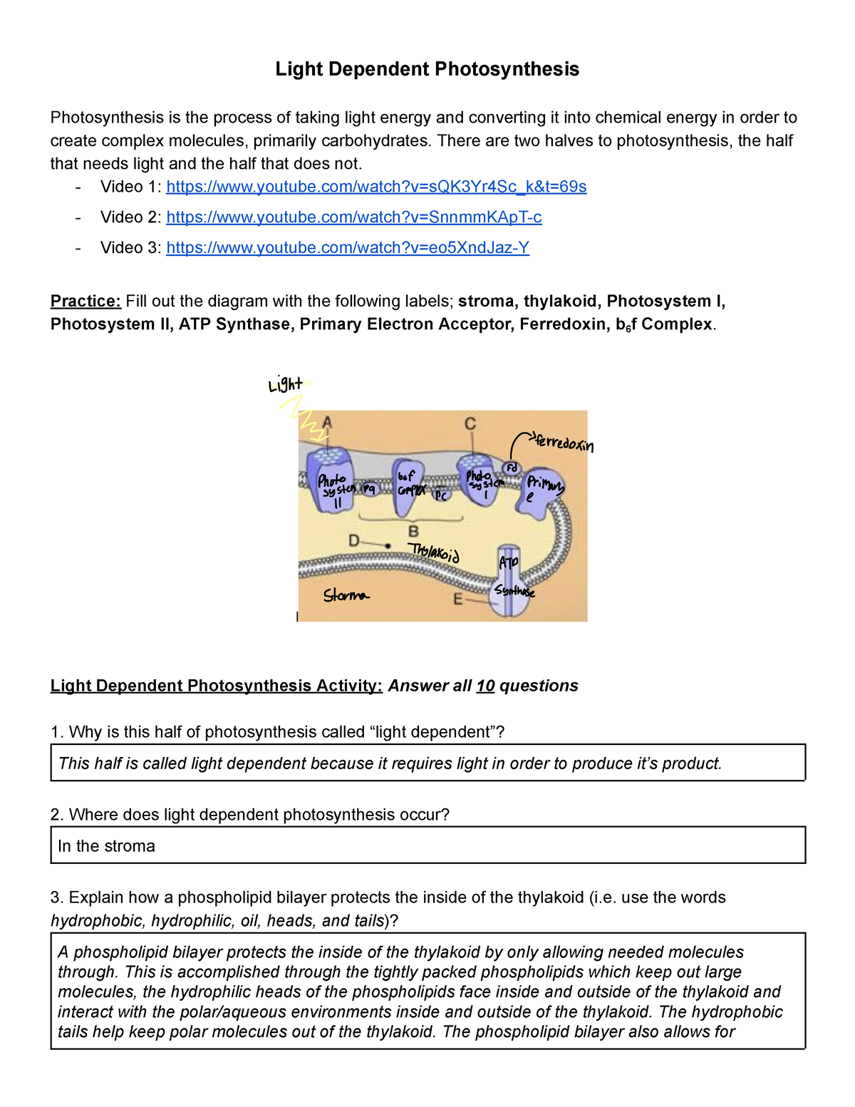 Solbi Moon [ Student] - 3-3 Light Dependent Photosynthesis - Light ...