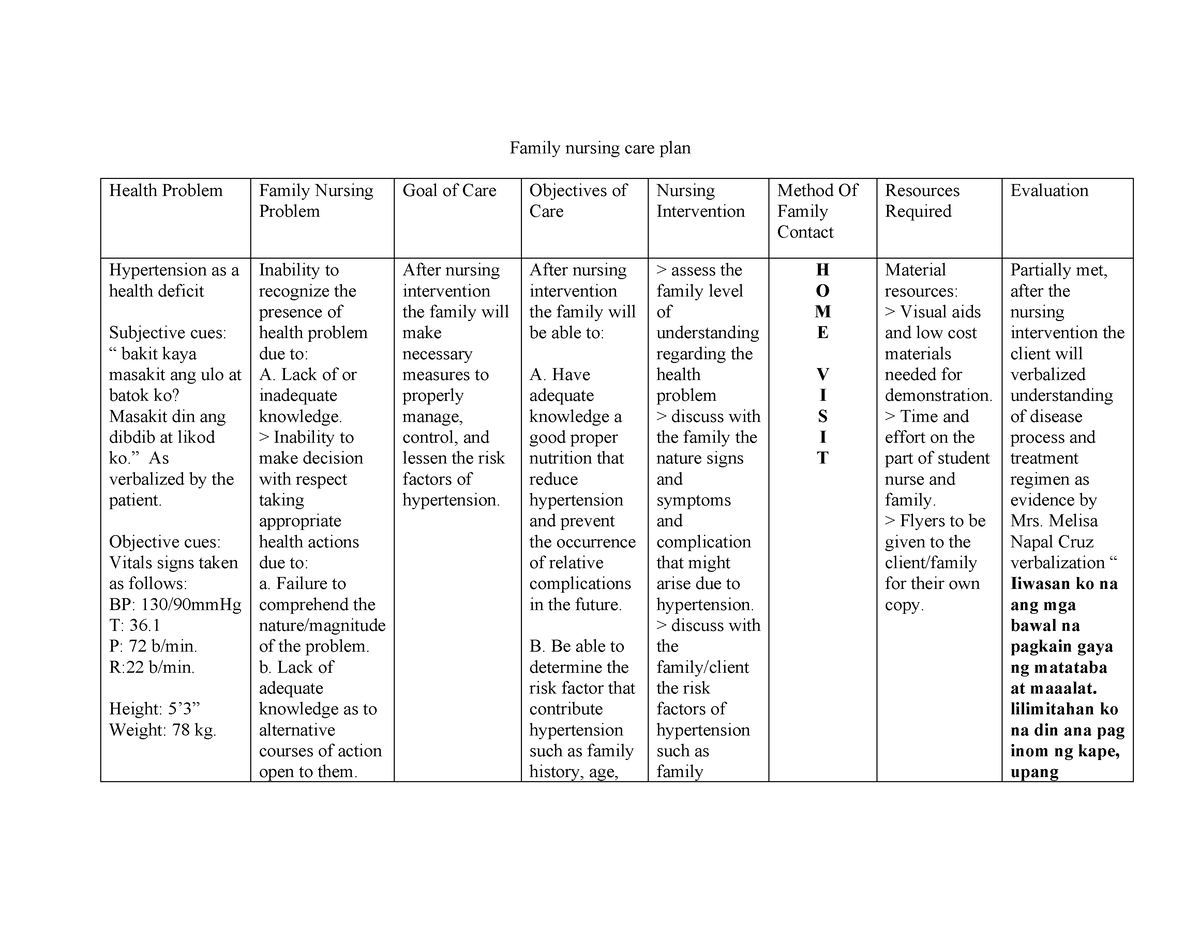 family-nursing-care-plan-template-family-nursing-care-plan-template