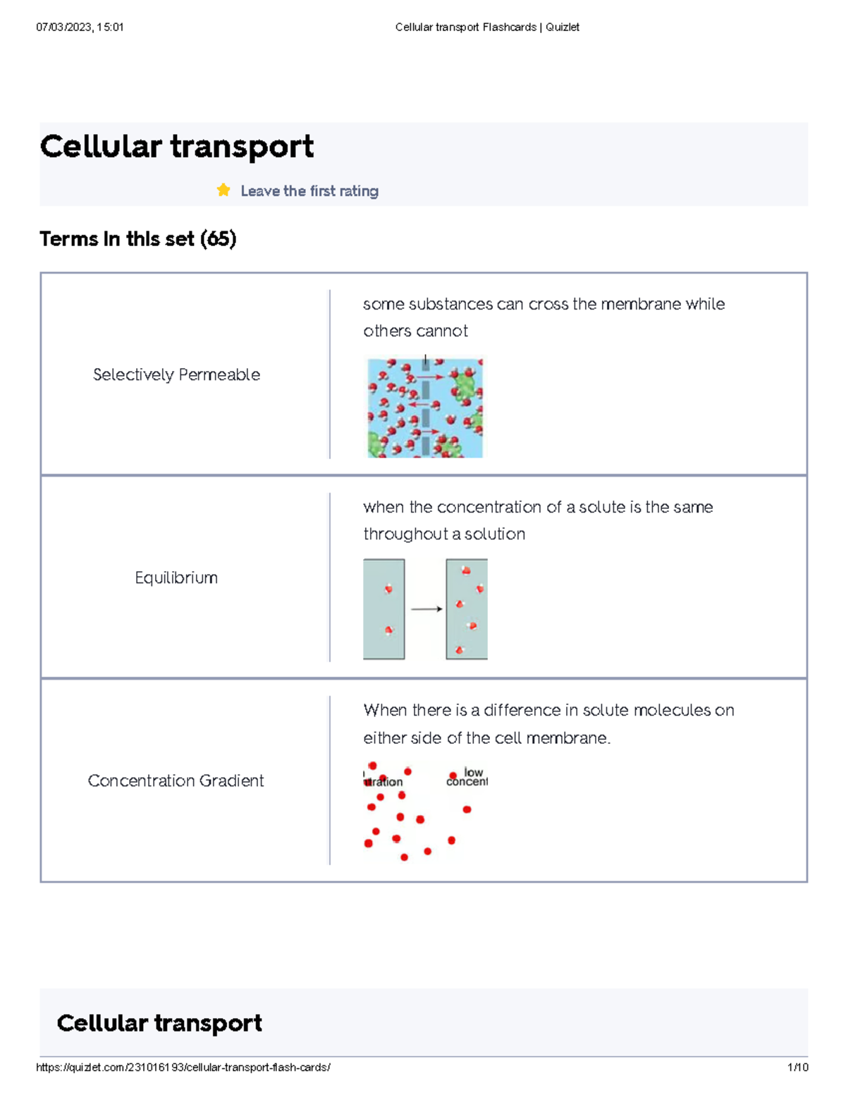 Cellular Transport Flashcards Quizlet - Cellular Transport Leave The ...