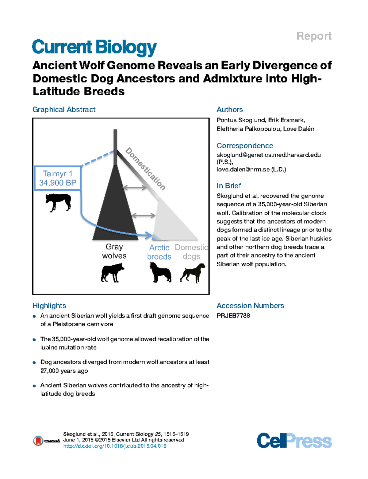 Estudiotaimyrlobohuskyprehistoria - Report Ancient Wolf Genome Reveals ...