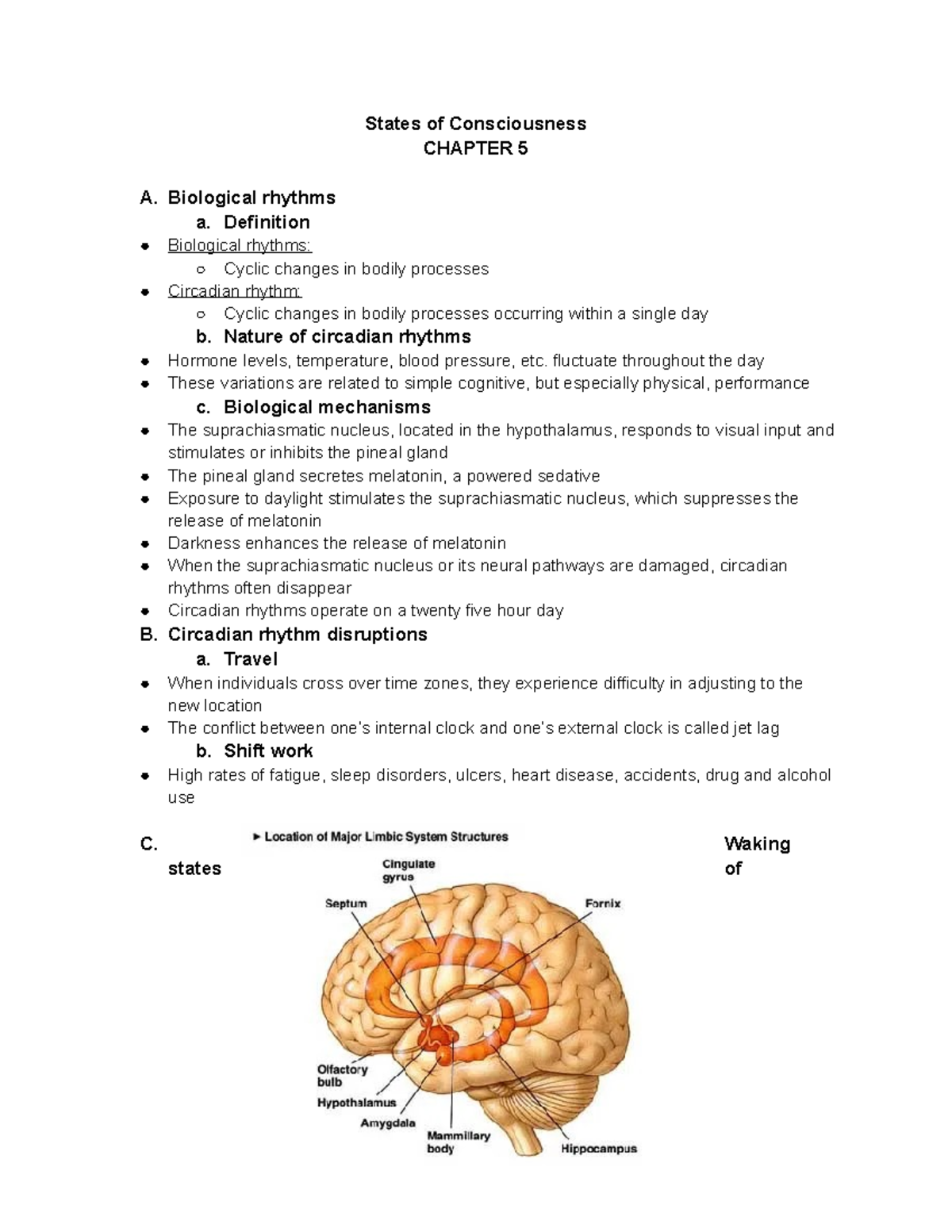 Chp. 5-states of consciousness - States of Consciousness CHAPTER 5 A ...