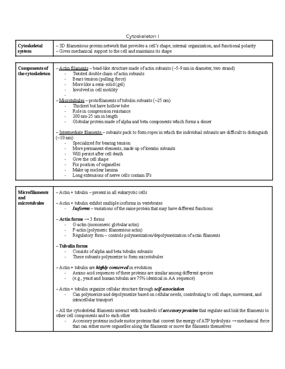 Cytoskeleton I + II - notes - Cytoskeleton I Cytoskeletal system 3D ...
