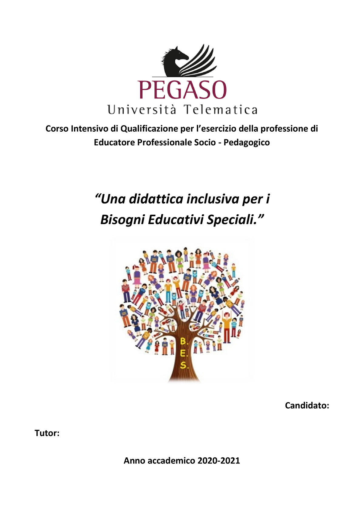 Una Didattica Inclusiva Per I Bisogni Educativi Speciali - Educatore ...