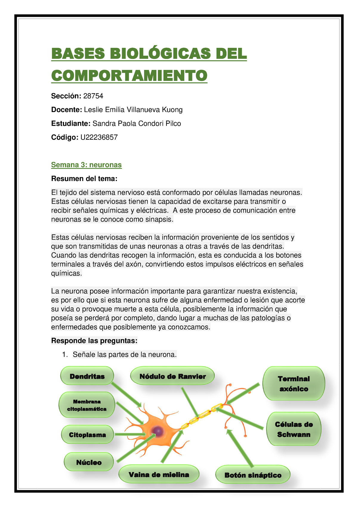 Bases Biol Gicas Del Comportamiento Bases Biolgicas Del