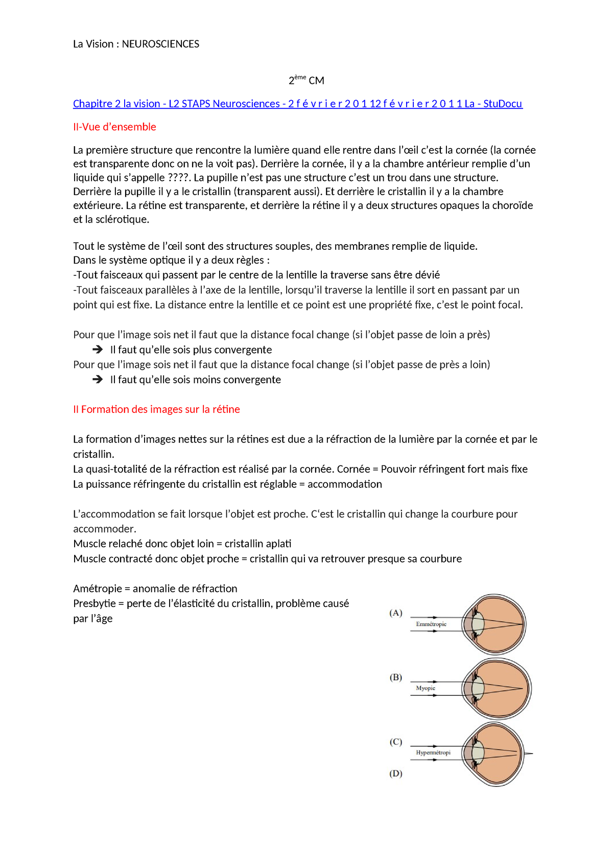 Me Cm La Vision Me Cm Chapitre La Vision L Staps Neurosciences F V R I E R