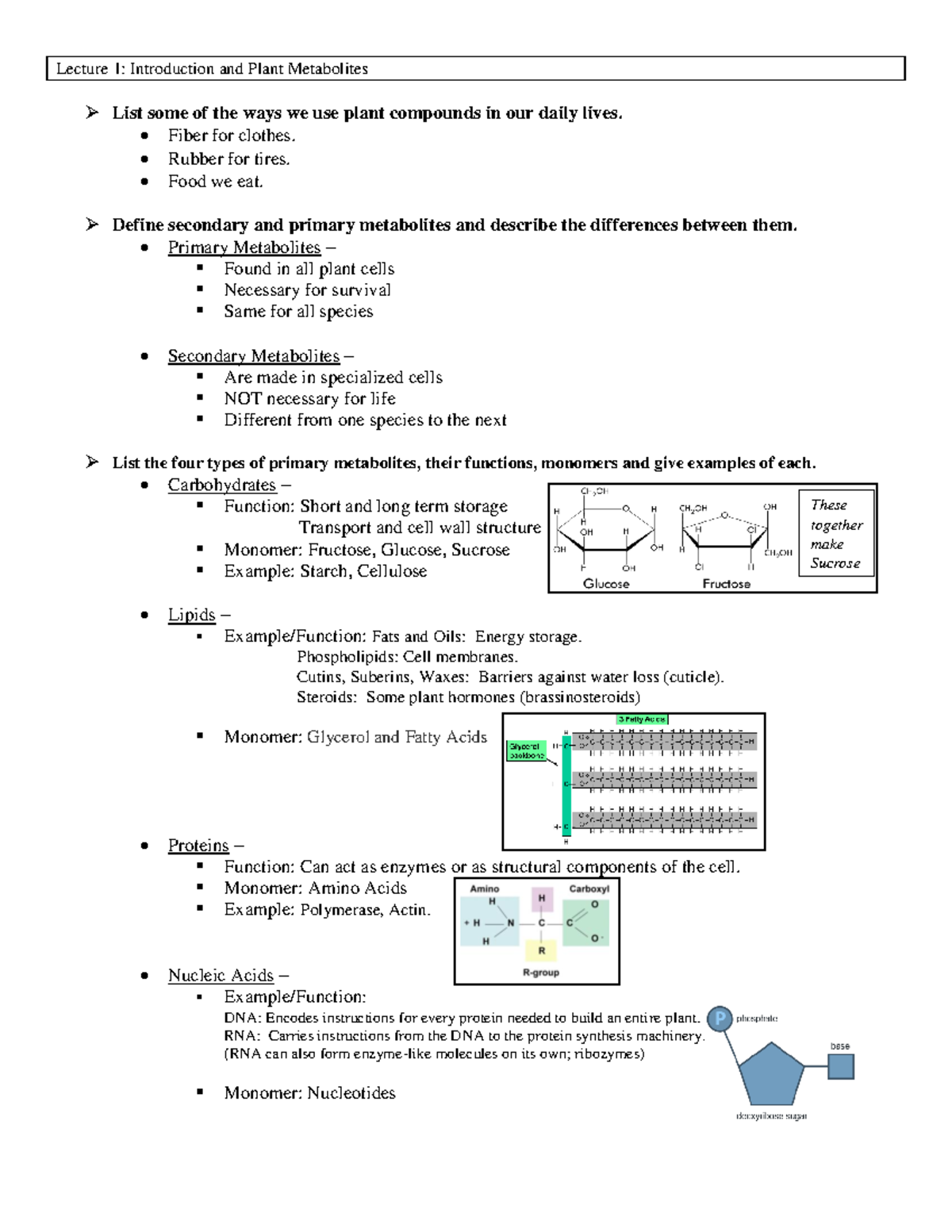 Lecture 1 - key notes - Lecture 1: Introduction and Plant Metabolites ...